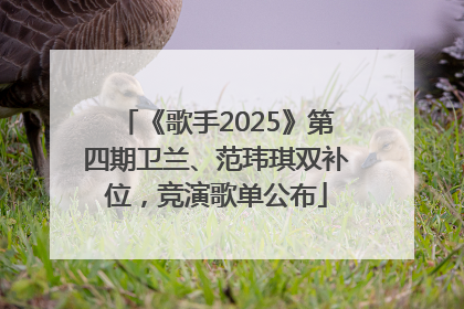 《歌手2025》第四期卫兰、范玮琪双补位，竞演歌单公布
