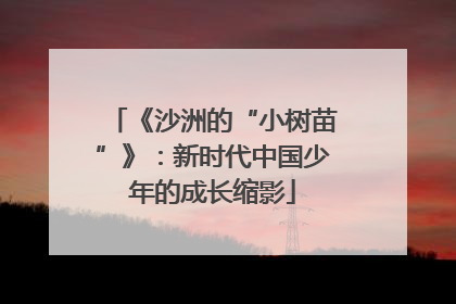 《沙洲的“小树苗”》：新时代中国少年的成长缩影