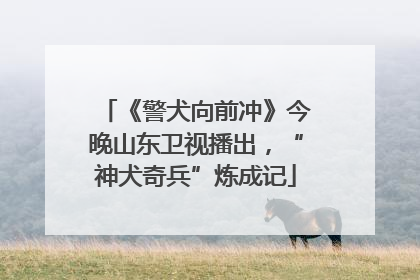 《警犬向前冲》今晚山东卫视播出，“神犬奇兵”炼成记