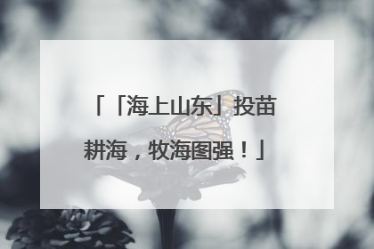 「海上山东」投苗耕海，牧海图强！