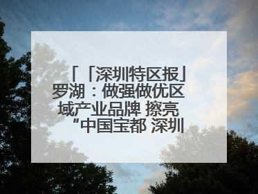 「深圳特区报」罗湖：做强做优区域产业品牌 擦亮“中国宝都 深圳水贝”金字招牌