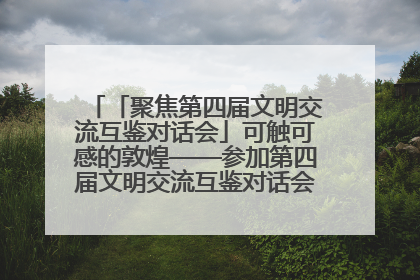 「聚焦第四届文明交流互鉴对话会」可触可感的敦煌——参加第四届文明交流互鉴对话会的外宾参观上元市集