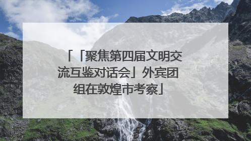 「聚焦第四届文明交流互鉴对话会」外宾团组在敦煌市考察
