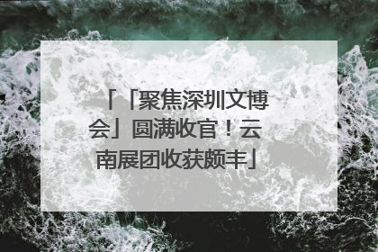 「聚焦深圳文博会」圆满收官！云南展团收获颇丰