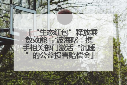 “生态红包”释放乘数效能 宁波海曙：携手相关部门激活“沉睡”的公益损害赔偿金