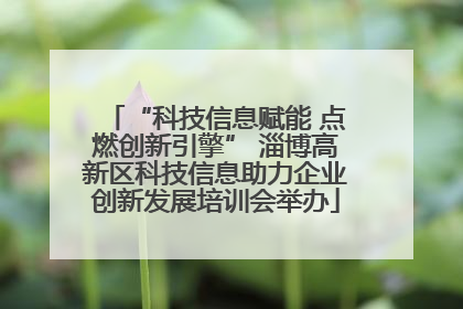 “科技信息赋能 点燃创新引擎” 淄博高新区科技信息助力企业创新发展培训会举办
