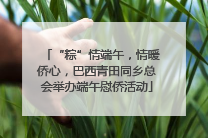 “粽”情端午，情暖侨心，巴西青田同乡总会举办端午慰侨活动