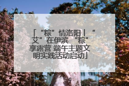 “粽”情洛阳丨“艾”在伊滨 “粽”享露营 端午主题文明实践活动启动