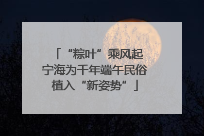“粽叶”乘风起 宁海为千年端午民俗植入“新姿势”