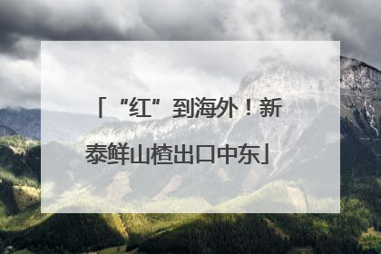 “红”到海外！新泰鲜山楂出口中东