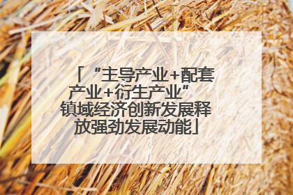 “主导产业+配套产业+衍生产业” 镇域经济创新发展释放强劲发展动能