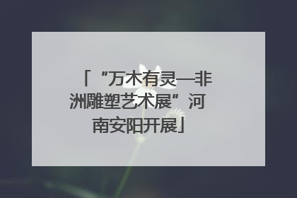 “万木有灵—非洲雕塑艺术展”河南安阳开展