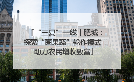 “三夏”一线丨肥城：探索“菌果蔬”轮作模式 助力农民增收致富