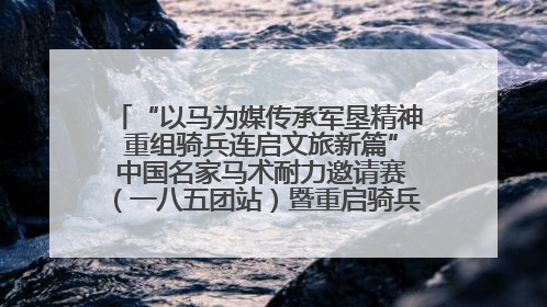 “以马为媒传承军垦精神 重组骑兵连启文旅新篇” 中国名家马术耐力邀请赛（一八五团站）暨重启骑兵连活动正式启动