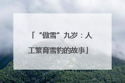 “傲雪”九岁：人工繁育雪豹的故事