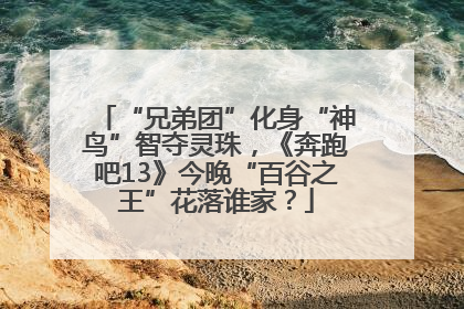“兄弟团”化身“神鸟”智夺灵珠，《奔跑吧13》今晚“百谷之王”花落谁家？