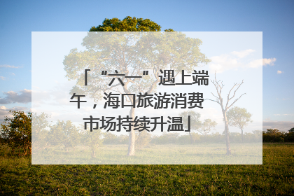 “六一”遇上端午，海口旅游消费市场持续升温