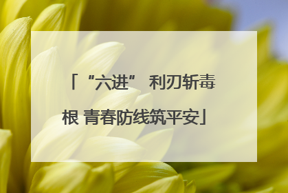 “六进” 利刃斩毒根 青春防线筑平安