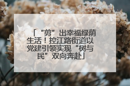 “剪”出幸福绿荫生活！控江路街道以党建引领实现“树与民”双向奔赴
