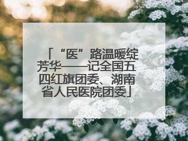 “医”路温暖绽芳华——记全国五四红旗团委、湖南省人民医院团委