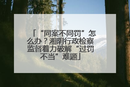 “同案不同罚”怎么办？湘阴行政检察监督着力破解“过罚不当”难题