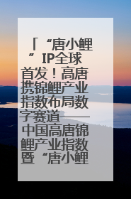 “唐小鲤”IP全球首发！高唐携锦鲤产业指数布局数字赛道——中国高唐锦鲤产业指数暨“唐小鲤”IP全球首发仪式在杭州举行