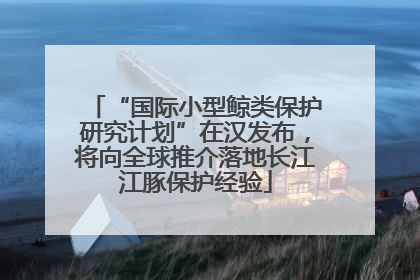 “国际小型鲸类保护研究计划”在汉发布，将向全球推介落地长江江豚保护经验