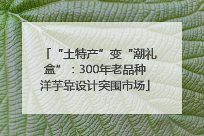 “土特产”变“潮礼盒”：300年老品种洋芋靠设计突围市场