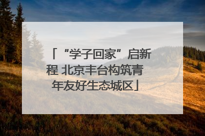 “学子回家”启新程 北京丰台构筑青年友好生态城区