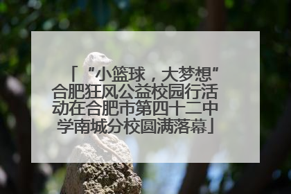 “小篮球，大梦想”合肥狂风公益校园行活动在合肥市第四十二中学南城分校圆满落幕