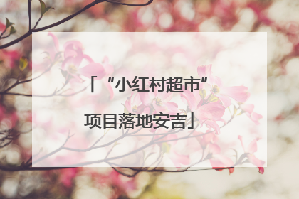 “小红村超市”项目落地安吉