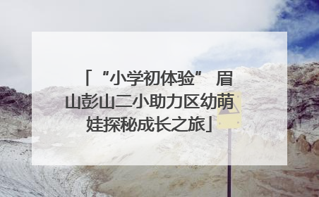 “小学初体验” 眉山彭山二小助力区幼萌娃探秘成长之旅