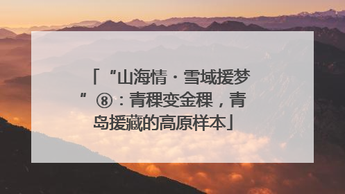 “山海情・雪域援梦”⑧：青稞变金稞，青岛援藏的高原样本
