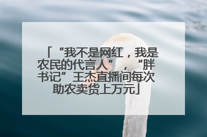 “我不是网红，我是农民的代言人”，“胖书记”王杰直播间每次助农卖货上万元