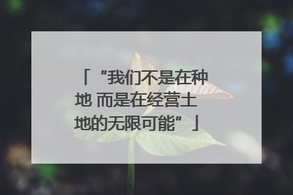 “我们不是在种地 而是在经营土地的无限可能”