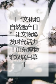 “文化和自然遗产日”让文物焕发时代活力！山东博物馆双展启幕