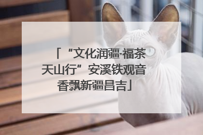 “文化润疆·福茶天山行”安溪铁观音香飘新疆昌吉