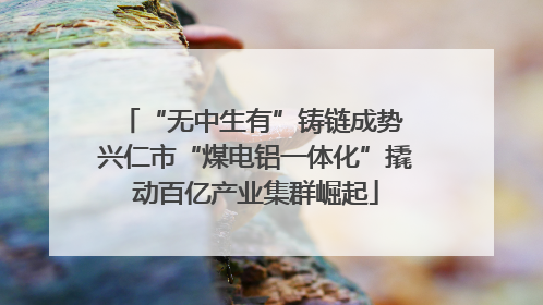 “无中生有”铸链成势 兴仁市“煤电铝一体化”撬动百亿产业集群崛起