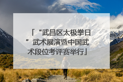 “武昌区太极拳日”武术展演暨中国武术段位考评赛举行