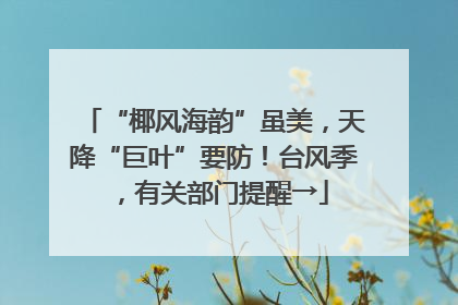 “椰风海韵”虽美，天降“巨叶”要防！台风季，有关部门提醒→