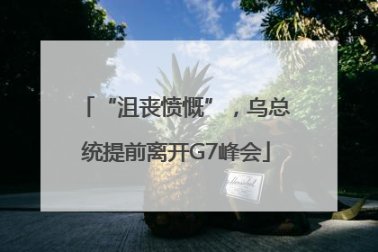 “沮丧愤慨”，乌总统提前离开G7峰会