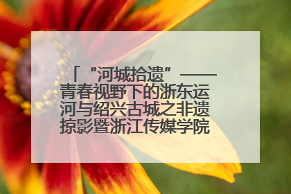 “河城拾遗”——青春视野下的浙东运河与绍兴古城之非遗掠影暨浙江传媒学院小学期来绍