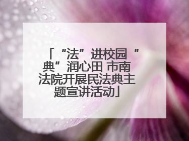 “法”进校园“典”润心田 市南法院开展民法典主题宣讲活动