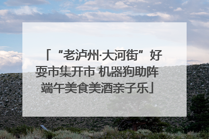 “老泸州·大河街”好耍市集开市 机器狗助阵端午美食美酒亲子乐