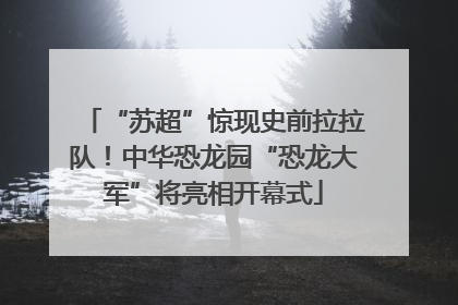 “苏超”惊现史前拉拉队！中华恐龙园“恐龙大军”将亮相开幕式