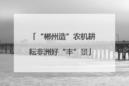 “郴州造”农机耕耘非洲好“丰”景