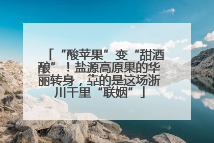 “酸苹果”变“甜酒酿”！盐源高原果的华丽转身，靠的是这场浙川千里“联姻”