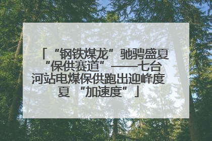 “钢铁煤龙”驰骋盛夏 “保供赛道”——七台河站电煤保供跑出迎峰度夏 “加速度”