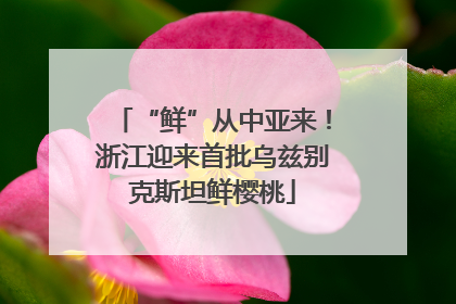 “鲜”从中亚来！浙江迎来首批乌兹别克斯坦鲜樱桃