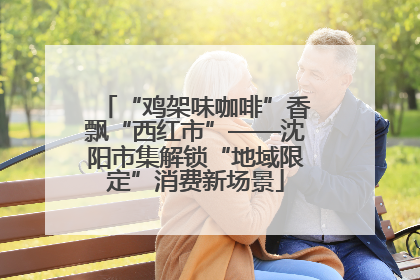 “鸡架味咖啡”香飘“西红市”——沈阳市集解锁“地域限定”消费新场景